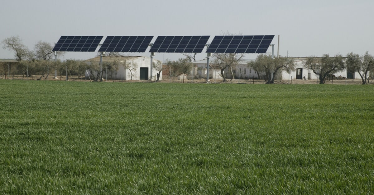 plantas fotovoltaicas extremadura ganadería placas solares finca ganadera