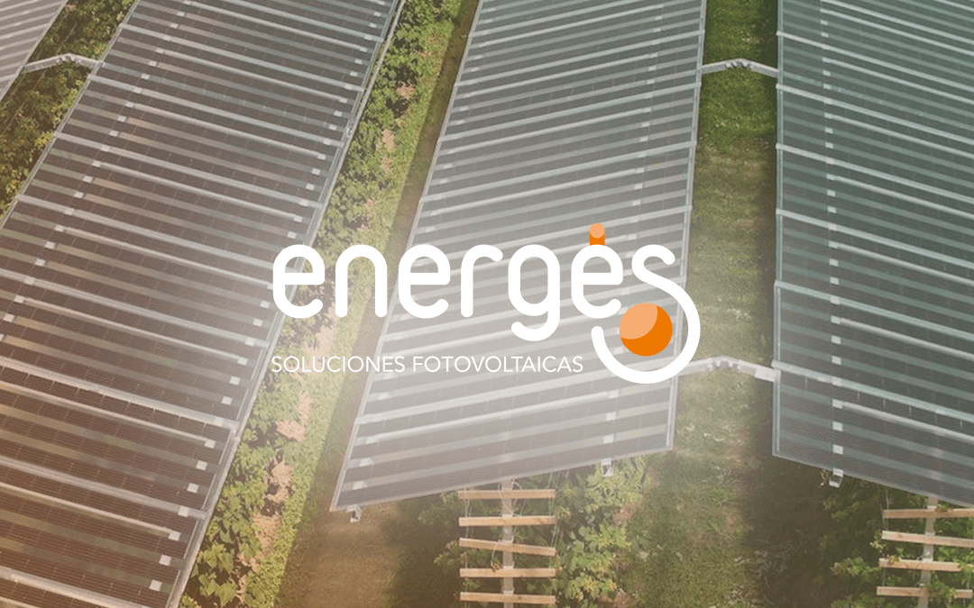 Agro-fotovoltaica, últimos avances